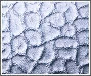 Ƥ��ѹ����