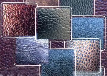 Ƥ��ѹ����