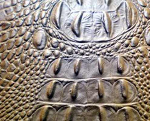 Ƥ��ѹ����