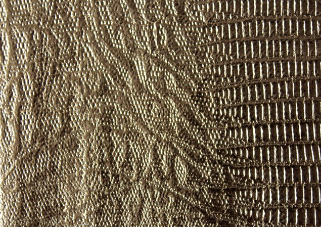 ��Ĥѹ����