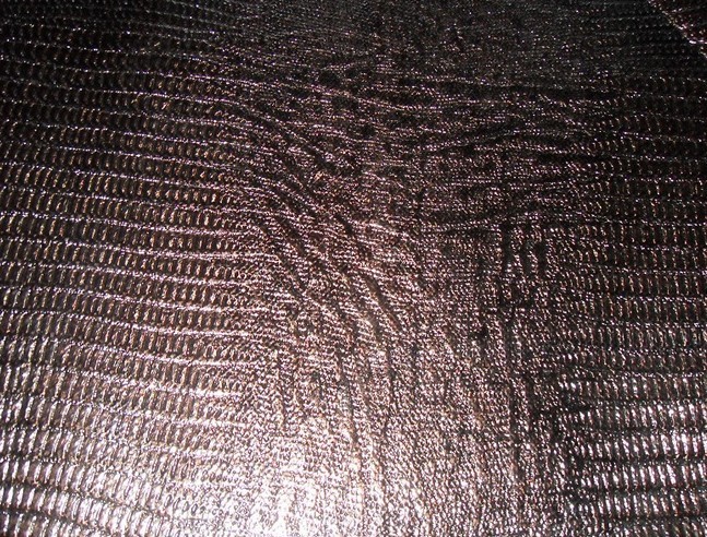 ��Ĥѹ����