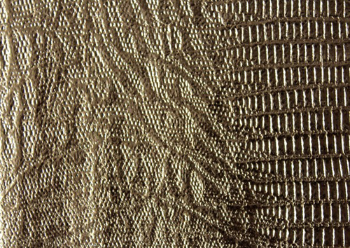 ��Ĥѹ����